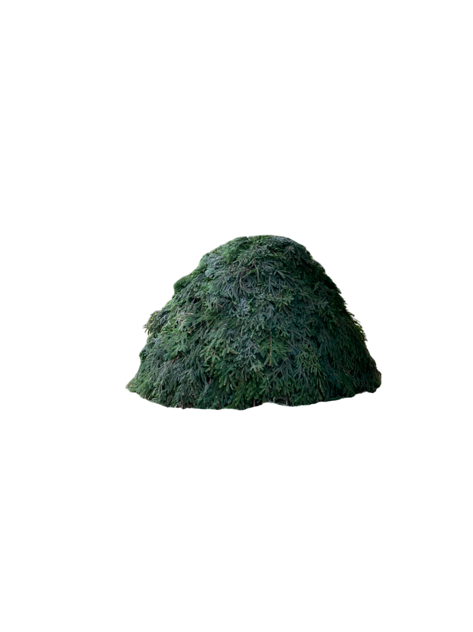 Pine decoration
